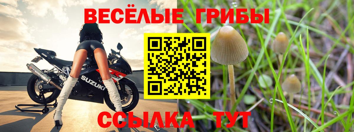 Псилоцибиновые грибы MAGIC MUSHROOMS Строитель